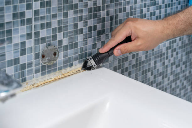 Trusted Lake California, CA Mold Remediation Experts